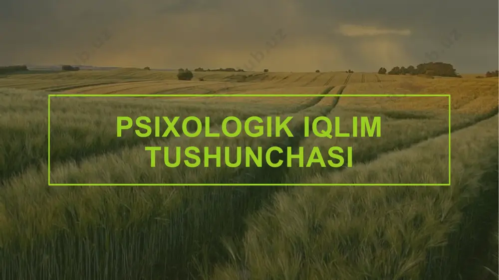 psixologik iqlimning rahbarga bogʻliqligi - Page 3