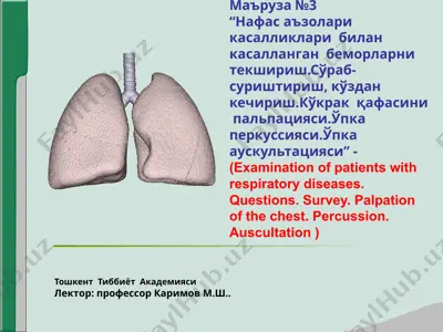 examination of patients with respiratory diseases — PPT