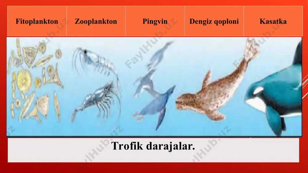 tabiiy ekosistemalarda biologik muvozanat va suksessiya, uning axamiyati va buzilish sabablari - Page 5