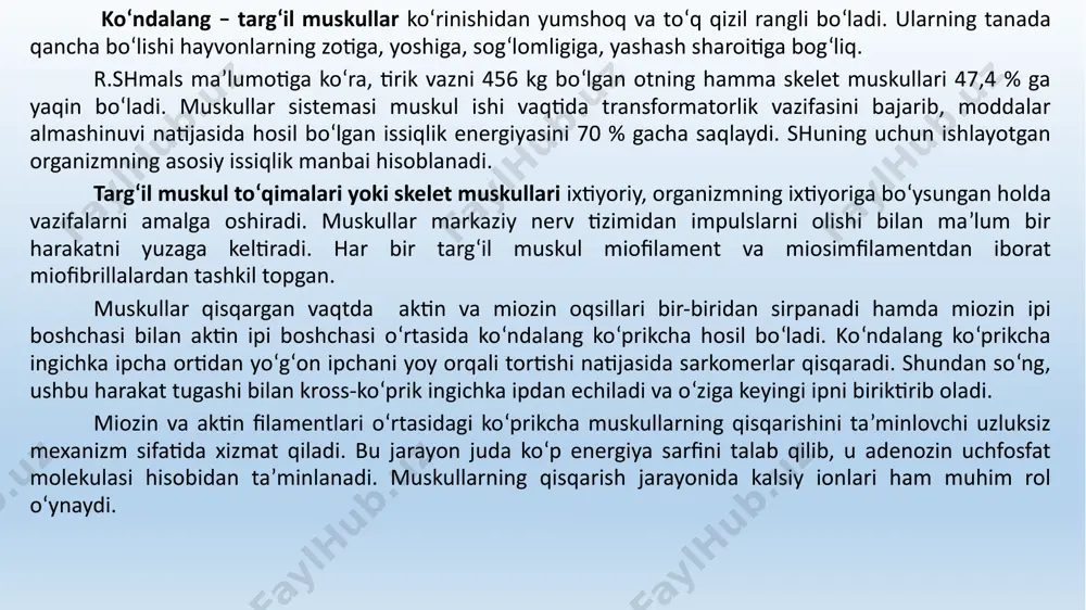 stki qismida uchraydi, bo‘g‘imlarni tutib turishda ularning xizmati katta bo‘ladi. ko‘p bo‘limli muskullarning tolasi bir qancha ayrim muskul tutamlaridan iborat bo‘ladi, ular qo‘shilib bitta muskul – ko‘p bo‘limli tana muskuli - m.multiffidus ni hosil qiladi. halqasimon muskullar teshikli organlar, masalan, og‘iz teshigi, orqa chiqarish teshigi va boshqalarning yopqichi hisoblanadi. bulardan tashqari, uch boshli, to‘rt boshli va murakkathb muskullar ham bo‘ladi. muskullarning ishi muskullar qisqarib – yozilganda aniq bir ish bajarib, organizmda issiqlik hosil qiladi. tanadagi issiqlikning 2/3 qismini ko‘ndalang – targ‘il muskullar, 1/3 qismini esa silliq muskullar hosil qiladi. tanadagi muskullarning kuchi har xil bo‘ladi. 1 mm2 o‘rtacha ko‘ndalang muskullar 10 kg, 1 sm2 silliq muskullar 1 kg yukni ko‘tarishi mumkin. oyoqning payli muskullari juda kuchli bo‘ladi. har bir muskul tolasi qisqarganda yo‘g‘onlashadi, birikkan nuqtalari bir – biriga yaqinlashib, kuchi ortadi. teriga birikkan muskullar, masalan, bo‘yin muskullari qisqarganda terini burishtiradi. suyak muskullari bo‘g‘imlar vositasida o‘zaro birlashgan suyaklarga ta’sir ko‘rsatganligi uchun …