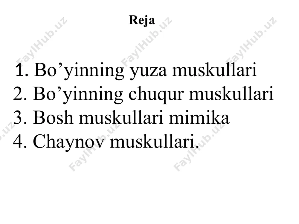 sticus bigzsimon o’simta-m stehiladeus qalqonsim to’g’ay til osti orasidagi m m.tirahiedeus kurak til osti m-m.omahedius m.sterna tiedeus to’sh til osti m. m.sterna hiedeus iii-vi bo’yin umurtqalarining ko’ndalang o’siqlaridan, i-qovurg’aning tepa yuzasiga barcha bo’yin umurtqalarining ko’ndalang o’siqlaridan, 1-qovurg’aning tepa yuzasiga v-vi boy’in umurtqalaridan, ii qovurg’alarming tashqi yuzasiga yopishadi ii-vi bo’yin umurtqalari tanasini egallab yotadi, old tomoni qizl o’ngach va halqum b,n yopilib turadi iii-vi bo’yin umurtqalaridan boshlanib, ensa suyagiga yopishadi yuqorida keltirilgan muskullarning ostida ensa suyagi b,n i bo’yin umurtqasi oralig’ida joylashgan chuqr muskullar oldingi narvonsimon o’rtadagi narvonsimon orqadagi narvonsimon bo’yinning uzun m boshning uzun m boshning oldingi va yon tomonidagi m orqa m.pasterior o’rta m.medius oldingi,m.anterior bo’yinnig uzun m m.longus colli m.longus capitis 1-2 bo’yin umurtqalaridan ensa suyagiga birikadigan muskullar guruhi bor bular boshning yuqori qishq m. m.ablicis capits supperior kallaning katta to’g’ri m. m,rector capitis mayor kallaning kichk to’g’ri m. m,rector capitis minor boshning pastki qishq m. m.ablicis capits …
