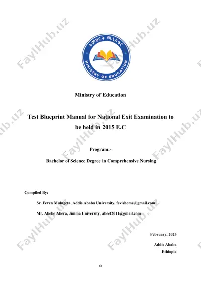 test blueprint manual for national exit examination - bachelor of science degree in comprehensive nursing — DOCX