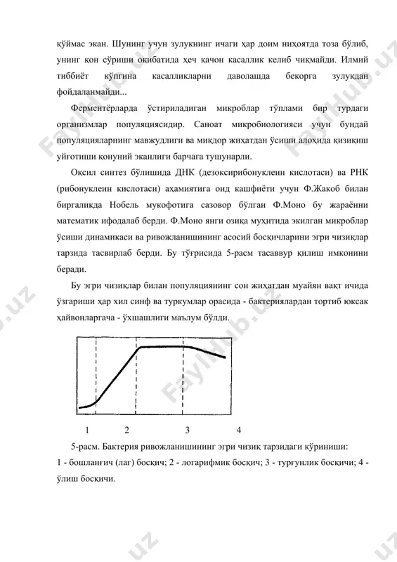асида унинг насли ниҳоятда улкан миқдорни ташкил этади, унинг биомассаси эса бутун сайёрамиздаги тирик мавжудотларнинг оғирлигидан ҳам ошиб кетган бўлар эди. бироқ, аслида жараён биз тасаввур этгандан бошқачароқ кечади (ҳайриятки, шундай), албатта: ўсишнинг логарифмик фазаси унчалик узоқ давом этмайди. аммо бу кўрсаткичлар барибир популяцияларнинг логарифмик фазада ўсиш суръати хусусида тасаввур беради. фазанинг иккинчи ярмида салбий тезлашув деб номланган (расмда бу кўрсатилмаган) давр бошланади; ўсишнинг эгри чизиғи унча тик кўтарилмайди. ҳужайралар кўпайиши ва улар миқдорининг ўсиши секинлашади. чунки бактериявий суюқликда озиқа моддалари камайиб боради, унда бактерияларнинг ҳаёт фаолияти учун зарарли бўлган чиқиндилар кўпая бошлайди. 3. мувозанат фазаси ёки максимал турғунлик фазаси. бунда туғилаётган ва ҳалок бўлаётган (ўлаётган) ҳужайралар миқдори тахминан тенглашади. 4. ҳужайраларнинг ёппасига ҳалок бўлиш фазаси. озиқа муҳити янгиланиб турилмаган шароитда ҳужайраларнинг ўсиши ва ривожланиши даврийлиги (цикли) ана шундай кечади. микроблардан янада кўпроқ биомасса ва маҳсулот олиш мақсадида жараённи вақти-вақти билан тўхтатиш технологияси кам самаралидир. шунинг учун ҳам озиқа ачитқиси …