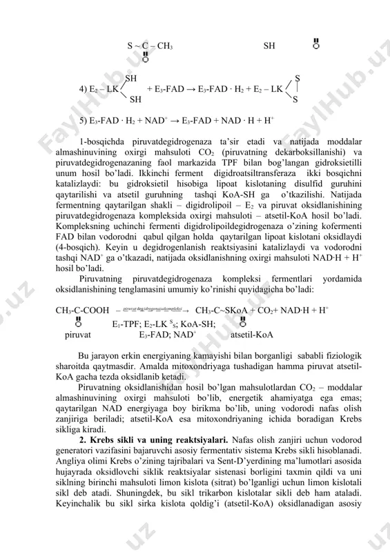 lari yordamida oksidlanishining tenglamasini umumiy ko’rinishi quyidagicha bo’ladi: ch3-c-cooh ch3-c~skoa + co2+ nad∙h + h+ e1-tpf; e2-lk ss; koa-sh; piruvat e3-fad; nad+ atsetil-koa bu jarayon erkin energiyaning kamayishi bilan borganligi sababli fiziologik sharoitda qaytmasdir. amalda mitoxondriyaga tushadigan hamma piruvat atsetil-koa gacha tezda oksidlanib ketadi. piruvatning oksidlanishidan hosil bo’lgan mahsulotlardan co2 – moddalar almashinuvining oxirgi mahsuloti bo’lib, energetik ahamiyatga ega emas; qaytarilgan nad energiyaga boy birikma bo’lib, uning vodorodi nafas olish zanjiriga beriladi; atsetil-koa esa mitoxondriyaning ichida boradigan krebs sikliga kiradi. 2. krebs sikli va uning reaktsiyalari. nafas olish zanjiri uchun vodorod generatori vazifasini bajaruvchi asosiy fermentativ sistema krebs sikli hisoblanadi. angliya olimi krebs o’zining tajribalari va sent-d’yerdining ma’lumotlari asosida hujayrada oksidlovchi siklik reaktsiyalar sistenasi borligini taxmin qildi va uni siklning birinchi mahsuloti limon kislota (sitrat) bo’lganligi uchun limon kislotali sikl deb atadi. shuningdek, bu sikl trikarbon kislotalar sikli deb ham ataladi. keyinchalik bu sikl sirka kislota qoldig’i (atsetil-koa) oksidlanadigan asosiy …