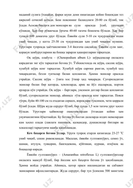 бир ёки бир неча пояга эга бўлган бир йиллик ўтдир. март – май ойиларида гуллайди. ҳамма жойда учрайди ва ҳамма экинларни ифлослантиради, айниқса сийрак бўлган кузги ғалла экинларни ва кўп йиллик ўтларни ифлослантиради. кузги бегона ўтлар. бу ўтларнинг уруғи кузда униб чиқади. уларнинг майсаси яхши ўсиши ва ривожланиши учун кузги қишки, даврдаги паст ҳарорат зарур. кузги бегона ўтларнинг уруғи қайси вақтда униб чиқишидан қатьий назар, фақат келгуси йили поя, гул, мева ва уруғ беради. буларга рўвак, ялтирбош, қарамиқ каби ўтлар киради. ялтирбош, (bromus tectorum l) – бошоқдошлар оиласидан, буйи 20-30 см келадиган бир йиллик ўсимлик. пояси кам шохланган, юпқа тукчалар билан қопланган. ялтирбош намлик етарли бўлса кузда униб чиқади. апрель ойида гуллайди, май ойида уруғи пишади. икки йиллик бегона ўтлар. ўсиши, ривожланиши ва уруғ ҳосил қилиши учун икки йил зарур. бу биологик гуруҳдаги бегона ўтларнинг уруғи баҳорда, езда униб чиқса, бир қиш, кузда униб чиқса, икки қиш қишлайди. уруғи унган …