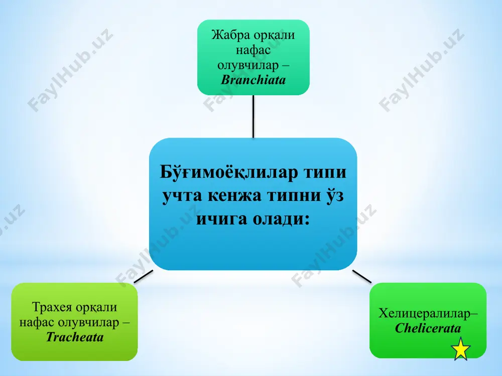 итлари ҳисобланади, одамларда қичима (scabius) касаллигини чақиради 1 2 3 4 5 6 7 қичима канаси - sacroptes scabiei одамларда қичима касаллигининг қўзғатувчиси тарқалиши: ҳамма жойда жойлашиши: эпидермиснинг шох қатламида, узунлиги 0,5 ммга етади морфологияси: танаси овал шаклда, ўсиқчалар билан қопланган, урғочисининг ўлчами 0,4 мм , эркаги 0,3 мм. оёқлари олти бўғимли бўлиб, кескин қисқариб кетган ривожланиш цикли одамга касал билан контактда бўлганда ёки касал одамнинг кийими, ўрин боши орқали юқади. урғочиси эпидермисда суткасига 2 -3 мм йўл очиб, ҳаёти давомида 40 – 50 та тухум қўяди. ривожланиш цикли тўлиқ бўлмаган метаморфоз йўли билан (тухум личинка – i, нимфа – ii, нимфа – имаго) 12 – 14 кун давом этади. вояга етган кана 2 ойгача яшайди патоген таъсири: каналар терининг ҳамма жойида учрайди, аммо кўпроқ бармоқлар орасида, терининг нозик жойларида, бармоқларнинг орқа томонида, қўлтиқ остида учраши мумкин. касалликда кучли қичиш кузатилади, қашилган жойга микроблар тушиши ҳисобига яллиғланиш реакциялари йирингли инфекция …