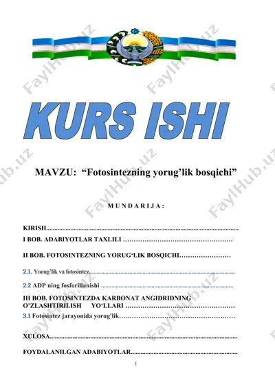 fotosintezning yorug’lik bosqichi — DOCX