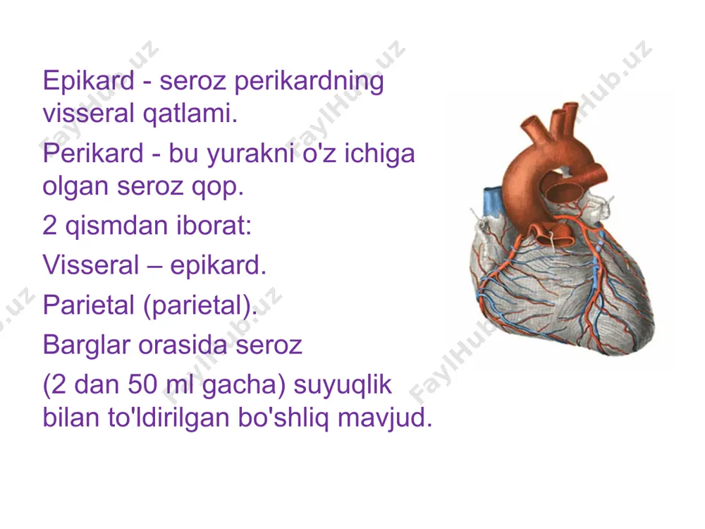 perikard kasalliklari - Page 3