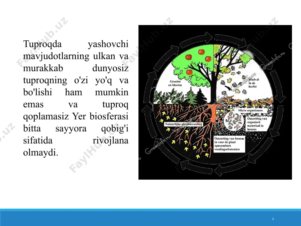 o'zaro ta'siri) tizimlari deb tasniflagan, ularning faoliyati biokimyoviy mexanizmlarga asoslangan. 14 15 v.v.dokuchaev tomonidan vaqti kelib mikroorganizmlar haqidagi ta'limot paydo bo'lganligi, uning asosini buyuk frantsuz olimi lui paster (1822-1895) asarlari qo'yganligi sabab bo'ldi. biroq, 17-asrda mikroorganizmlar haqidagi ta'limot yaratilishidan ancha oldin mikroblar dunyosi gollandiyalik savdogar anton van (1632-1723) tomonidan kashf etilgan. u bakteriyalarni ko'rinadigan qilish usulini ixtiro qildi. bakteriyalar u yaratgan, sayqallangan linzalardan tayyorlangan mikroskoplarda ko'rinib turardi. u ularni chizib, tasvirlab berdi va shu tariqa dunyo eng kichik o'simliklar va hayvonlarga qaraganda ancha kichik bo'lgan organizmlar mavjudligini bilib oldi. 16 mikroorganizmlar bilan ishlashning birinchi takrorlanadigan uslubiy metodlari l. paster tomonidan ishlab chiqilgan va mikrobiologiyaning fan sifatida rivojlanishiga imkon yaratgan. pasterni o'qitgan kimyogar fermentatsiyani tasodifan o'rganmagan. undan oldin fermentatsiya moddalarning har qanday o'zgarishi deb tushunilgan va fermentatsiya qiluvchi "tanalar" fermentlar deb atalgan, ammo ular hayot bilan bog'lamagan. yu.libigning fikriga ko'ra, bu "atomlarning harakati" edi. paster 1857 yildan boshlab u tomonidan kashf …