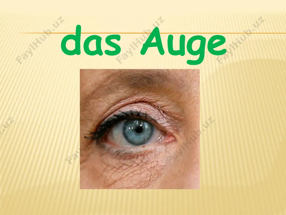 die haare - Page 5