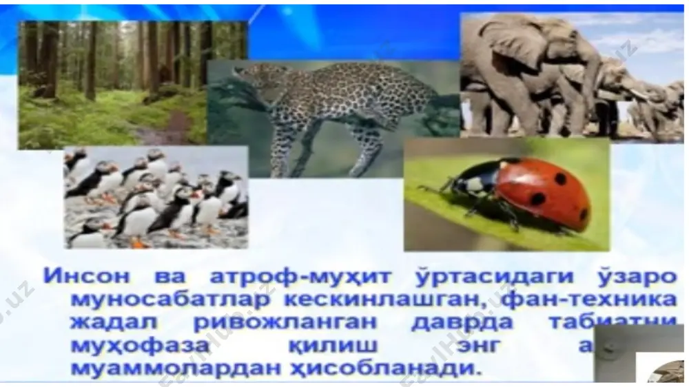 igidan insoniyat behad azob chekmoqda. xx asr tugab xxi asrning dastlabki kunlarida, asrlar tutash kelgan pallada butun insoniyat, mamlakatimiz aholisi juda katta ekologik xavfga duch keldi. sayyoramizdagi ekologik muammolar sun’iy tog’lar hosil bo’lishi atmosfera ifloslanishi va unda o2 ning kamayishi havo haroratining ko’tarilishi atmosferada ozon qatlami (o3) ning yemirilishi demografik o’sish va hokazo ichimlik suv va suvning ifloslanishi suv sathining ko’tarilishi tuproq erroziyasi va uning ifloslanishi ekologik muammoni hal etish barcha xalqlarning manfaatlariga mosdir. sivilizatsiyaning hozirgi kuni va kelajagi ko’p jihatdan ekologik muammoning hal qilinishiga bog’liqdir. o’zbekiston respublikasi dunyodagi barcha mamlakatlar, jumladan markaziy osiyo mintaqasidagi davlatlar bilan hamkorlik va hamjihatlikda tabiatni, atrof muhitni himoya qilish, tabiiy zahiralardan oqilona foydalanish masalalariga katta e’tibor va ahamiyat berib kelinmoqda. buning natijasi o’laroq, atrof-muhitni muhofaza qilishni ta’minlashga qaratilgan qonun hujjatlari respublikamizda ko’plab qabul qilingi. o’zbekiston respublikasi konstitutsiyasining 50-moddasida belgilab qo’yilganidek “fuqarolar atrof, tabiiy muhitga ehtiyotkorona munosabatda bo’lishga majburlar”. global ekologik muammolar dunyo bo'yicha kuzatiladigan …