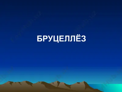бруцеллёз — PPTX