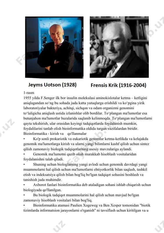logiyaga fizik va matematiklar kirib kela boshladi. biologiyaning zamonaviy tarixi 1953 yildan, amerika olimlari jeyms uotson (james watson) hamda frensis krik (francis crick) tomonidan dnk ning qo‘sh spiralligi kashf qilingan davrdan boshlandi.(1-rasm) 1-rasm 1955 yilda f.senger ilk bor insulin molekulasi aminokislotalar ketma – ketligini aniqlagandan so‘ng bu sohada juda katta yutuqlarga erishildi va ko‘pgina yirik laboratoriyalar bakteriya, achitqi, sichqon va odam organizmi genomini to‘laligicha aniqlash ustida izlanishlar olib bordilar. to‘plangan ma'lumotlar esa butunjahon ma'lumotlar bazalarida saqlanib kelinmoqda. to‘plangan ma'lumotlarni qayta tekshirish, ular orasidan keyingi tadqiqotlarda foydalanish mumkin, foydalilarini tanlab olish bioinformatika oldida turgan vazifalardan biridir. bioinformatika - kirish va qo'llanmalar • ko'p sonli prokariotik va eukariotik genomlar ketma-ketlikda va kelajakda genomik ma'lumotlarga kirish va ularni yangi bilimlarni kashf qilish uchun sintez qilish zamonaviy biologik tadqiqotlarning asosiy mavzulariga aylandi. • genomik ma'lumotni qazib olish murakkab hisoblash vositalaridan foydalanishni talab qiladi. • shuning uchun biologlarning yangi avlodi uchun genomik davrdagi yangi muammolarni …