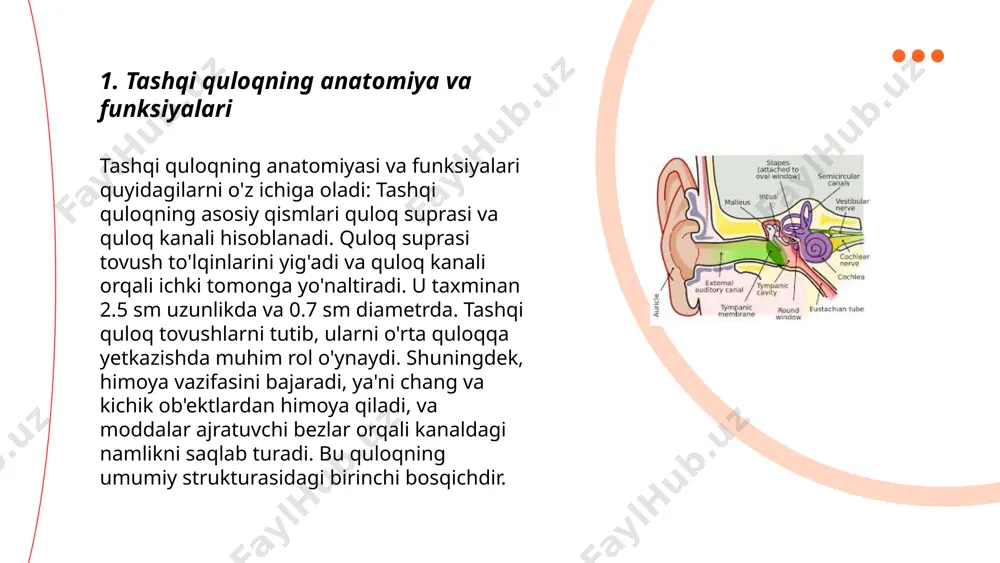 oq infektsiyalarining taxminan 10% ini tashkil qiladi. belgilari orasida quloq og‘rig‘i, qichishish va eshitish qobiliyatining pasayishi kiradi. tez va to‘g‘ri davolanmasa, infeksiya kuchayishi mumkin. kasallikdan saqlanish uchun quloqni quruq va toza saqlash tavsiya etiladi. ... t.me/slaydai_bot o‘rta quloq uchta asosiy suyakdan iborat: bolg‘acha (malýus), örgi qoshiği (incus) va üzyurṭgüch (stapes). uyingiz toy mashinasi ko‘rinishidagi bu suyaklar tovush to‘lqinlarini banglaydi va ko‘rkliydan ichki quloqqa uzatadi. o‘rta quloqda qolib joylashgan evstaxi quvuri bosimni tenglashtiradi, quloq pardasini himoya qiladi. shuningdek, o‘rta quloq tana haroratiga, bosimlanuvchi to‘lqinlarga javob beradi, yurish va boshqaruvda muhim rol o‘ynaydi. o‘rta quloqdagi suyuqlik yoki infeksiya eshitish qobiliyatini vaqtincha yo‘qotishga olib kelishi mumkin. ushbu qismlar birgalikda ishlash orqali tovushni aniqlash va aqlan tushunishga yordam beradi. ... t.me/slaydai_bot 7. otitis media va o'rta quloq yallig'lanishi o‘rta quloq yallig‘lanishi (otitis media) – quloq orqasidagi havo bilan to‘lgan bo‘shliqning yallig‘lanishidir. bu holat asosan bolalar orasida keng tarqalgan kasallik bo‘lib, odatda 6 oylikdan 3 …