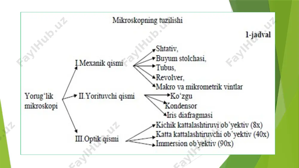 ‘tining kichik bo‘lakchasi joylashtirilib, usti qoplovchi oyna bilan yopiladi. preparat avval kichik, keyin katta obyektiv orqali kuzatiladi. hujayralar to‘g‘ri to’rtburchak shaklida bo‘lib, ikki qavat qalin qobiq bilan qoplangan, sitoplazmada ko‘p sonli yumaloq-oval yashil rangli donachalar ko‘rinadi. bular - plastidalar. bo'yalmagan preparatda yadro ko’rinmydi. bir nechta hujayraning rasmini chizib, qobiq, sitoplazma, plastidalar belgilab qo‘yiladi. mashg‘ulot oxirida o‘qituvchi talabalar albomlarini, testlar va vaziyatli masalalar orqali ularning mavzuni o‘zlashtirishini tekshiradi, bilimlarini baholaydi, keyingi mashg‘ulot uchun vazifalar beradi. hujayrani tuzilishi va funksiyalari image1.emf image2.gif image3.png image4.png image5.png image6.png image7.png image8.png image9.png image10.png image11.png image12.png image13.png image14.png /docprops/thumbnail.jpeg