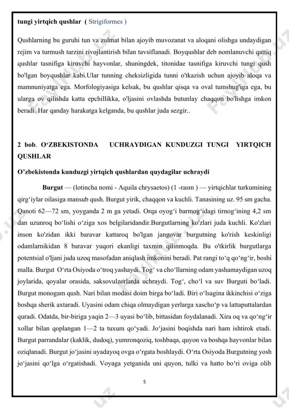 n va boshqa hayvonlar bilan oziqlanadi. burgut joʻjasini uyadayoq ovga oʻrgata boshlaydi. oʻrta osiyoda burgutning yosh joʻjasini qoʻlga oʻrgatishadi. voyaga yetganida uni quyon, tulki va hatto boʻri oviga olib chiqishadi. burgut oʻljasini uzoqdan yaxshi koʻradi va tez uchib borib unga tashlanadi. kemiruvchilarni qirib, qishloq xoʻjaligi ga foyda keltiradi. burgut oʻzbekiston va boshqa davlatlar qizil kitobiga kiritilgan. lochin (falco peregrinus) — ( 2 – rasm) lochinsimonlar oilasiga mansub qush. 20 dan ortiq kenja turi maʼlum. modasi yirik, gavdasining uz. 49 sm gacha, qanotlari yoyilganida 115 sm gacha vazni 1,2 kg gacha. nari modasidan ancha kichik. keng tarqalgan, oʻrta osiyoda sahro va tundra i uchraydi. sahro oʻtroq yashaydi; tundra . faqat qishlash uchun uchib keladi. monogam. uyasini togʻli va jarlik joylarga quradi. apr.—mayda 2—3 ta tuxum qoʻyadi. bolalari mustaqil uchadigan boʻlguncha ota-onasining qaramogʻida boʻladi. qushlar va boshqa bilan oziqlanadi. sahro va tundra qushlarni ovlashga oʻrgatiladi tashqi koʻrinishi : lochinning uzunligi 34-50 sm, …