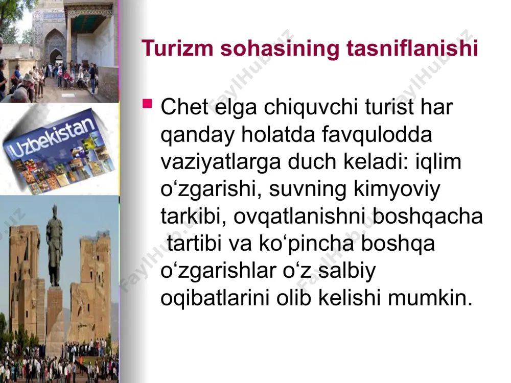 turizm infratuzilmasida sug'urta masalalari - Page 5
