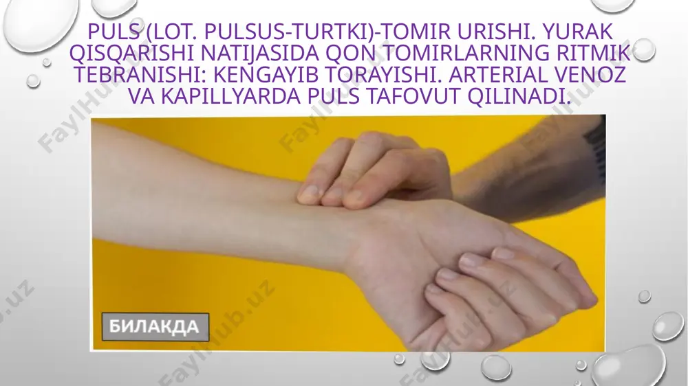 arterial pulini tekshirish - Page 2