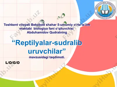 sudralib yuruvchilar — PPTX