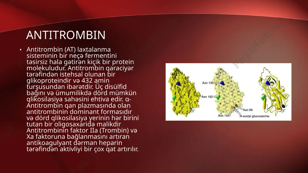 r. heparinin tətbiqi heparin preparatından müxtəlif tromboembolik xəstəliklə və onların fəsadlarına qarşı həm profilaktik həm də müalicə məqsədi ilə istifadə olunur. miokard infarktları, magistral damarların: arteriyaların, venaların, beyin və göz damarlarının trombozlarında, xüsusilə süni qan dövranı şəraitində aparılan urək-damar cərrahiyyəsində; transplantologiyada, dializ zamanı trombəmələgəlmənin qarışsını almaq və onu lokalizə etmək məqsədi ilə geniş tətbiqini tapmışdır. fibrinin parçalanma məhsulları antitrombin aktivliyə malik olmaqla, protrombinazanın əmələ gəlməsini tormozlayırlar i̇kincili antikoaqulyantlar trombinin bir hissəsini adsorbsiya edən fibrin fibrinin deqradasiya məhsulları trombositar trombinin deqradasiya məhsulları diqqətiniz üçün təşəkkürlər image2.jpg image3.jpeg image4.jpeg image5.jpeg image6.jpeg image1.jpg /docprops/thumbnail.jpeg