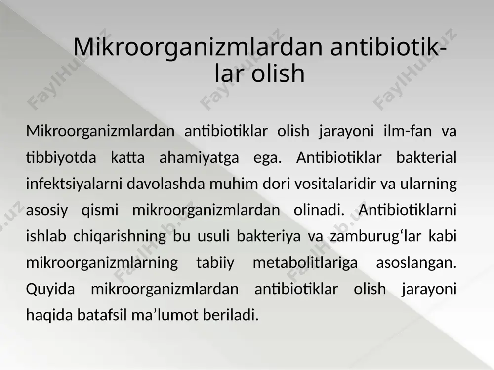 amalga oshirilib, antibiotiklarning samaradorligi va xavfsizligi ta’minlanadi. tezkor va keng qamrovli ta’minot: bunday ishlab chiqarish texnologiyasi global miqyosda tez va uzluksiz antibiotik yetkazib berishni ta’minlaydi. sanoat miqyosida antibiotik ishlab chiqarishning afzalliklari antibiotiklar sintezlovchi mikroorganizmlar turli xil bakteriya va zamburug‘lardan iborat bo‘lib, ular o‘zlarini boshqa mikroorganizmlardan himoya qilish yoki raqobatchi bakteriyalar o‘sishini to‘xtatish uchun tabiiy antibiotik moddalar ishlab chiqaradi. ushbu mikroorganizmlar farmatsevtika sanoatida antibiotik ishlab chiqarishda foydalaniladi. quyida antibiotiklar sintezlovchi asosiy mikroorganizmlar va ularning ishlab chiqaradigan antibiotiklari keltirilgan: antibiotiklar sintezlovchi mikroorganizmlar antibiotiklar sintezlovchi mikroorganizmlar 11 penicillium zamburug‘i streptomyces bakteriyasi bacillus bakteriyasi cephalosporium zamburug’i mikromonospora bakteriyasi actinomysis bakteriyasi nocardia bakteriyasi amycolotopsis bakteriyasi lentzia bakteriyasi 1. penicillium zamburug‘i antibiotik turi: penisillin tavsif: penicillium turiga kiruvchi zamburug‘lar, xususan, penicillium notatum va penicillium chrysogenum turlari penisillin antibiotikini ishlab chiqaradi. penisillin birinchi kashf etilgan antibiotik bo‘lib, bakterial infeksiyalarga qarshi samarali vosita sifatida keng qo‘llaniladi. 2. streptomyces bakteriyasi antibiotik turlari: streptomitsin, tetratsiklin, eritromitsin, kloramfenikol va boshqa ko‘plab …