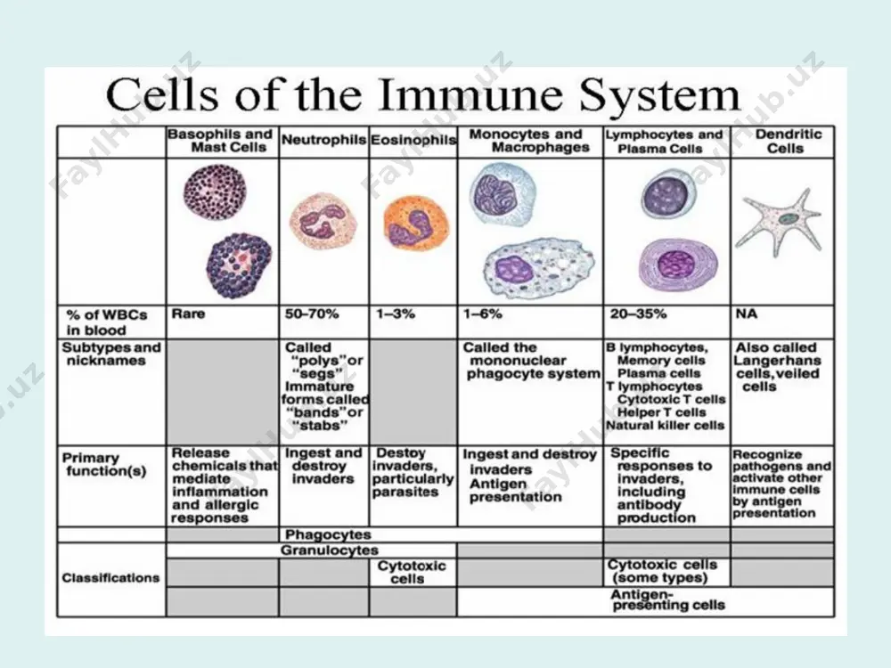 human immune system - Page 5
