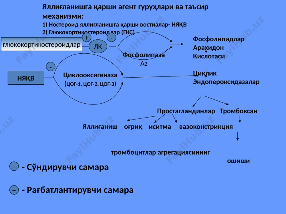 нинг авж олиш даври меъда-ичак йўлидан қон кетишлар лейкопения, гранулоцитопения буйрак фаолиятининг оғир даражали бузилишлари ҳомиладорликнинг биринчи уч ойлиги, эмикли давр ацетилсалицил кислотани 12 ёшдан кичик болаларга буюриш мумкин эмас қарши кўрсатмалар: ножўя таъсирлари: гастроэнтерологик: симптоматик(кўнгил айниши,қусиш,қабзият, диарея, жиғилдон қайнаши, эпигастрал соҳада оғриқ) -яқндв-гастропатия -яқндв-энтеропатия -яқндв-нефропатия гематотоксик таъсир гепатотоксик таъсир тери ва шиллиқ қобиқларнинг жароҳатланиши неврологик ножўя таъсир тератоген таъсир цог-2 махсус ингибиторлари цог-1 селектив ингибиторлари носелектив цог-1 ингибиторлари нисбатан цог-2 селектив ингибиторлари ацетилсалицил кислота (кичик дозада) мексилитин, токаинид нимесулид, мелоксикам яқндв кўпчилиги целекоксиб, рофекоксиб, вальдококсиб, эторикоксиб яллиғланишга қарши дори воситаларининг нисбатан танлаб таъсир кўрсатиши бўйича таснифи носпецифик иммуномодуляцияловчи таъсирга эга бўлган, секин таъсир этувчи яқндв бириктирувчи тўқиманинг яллиғланувчи ўзгаришларини бартараф этувчи иммунотроп дв олтин препаратлари –ауротиопрол ( кризанол) ауранофин (миокризин) д-пеницилламин хинолин унумлари- хлорохин, гидроксихлорохин иммунодепрессантлар-циклофосфамид, азатиоприн, метотрексат, циклоспорин сульфаниламид препаратлар-сульфасалазин, месалазин базис, секин таъсир этувчи яллиғланишга қарши дори воситалар базис, секин таъсир этувчи яллиғланишга қарши дори воситаларнинг умумий …