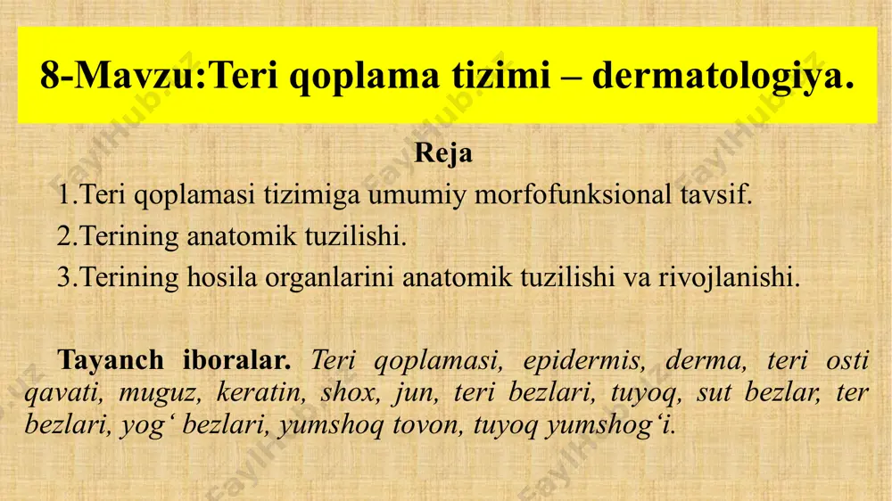 chunki baliqlar terisi muguzlashgan tangachalar bilan qoplangan, suvda suzganda ular yirtilib ketmaydi, qushlarning terisi har xil par bilan qoplangan bo‘lib, uchish uchun moslashgan bo‘ladi. sut emizuvchilar terisi ham har xil – mayin, dag‘al, nina shaklidagi (tipratikanda) jun bilan qoplangan. teri qoplamining o‘zgarishidan bir qancha muhim hosilalar kelib chiqadi. ular organizmda xilma – xil funksiya bajaradi. shox moddaga aylangan (tuyoq, shox, tirnoq, pix, jun, tish, sut bezlari, yumshoq tovon, ter, yog‘ moy bezlari) ana shunday organlarga kiradi. yog‘ bezlari yog‘li suyuqlik ishlab chiqaradi va terini qurib qolishdan va elastik holatda saqlaydi. yog‘ bezlari zapas yog‘ to‘playdi, sut bezlari esa yangi tug‘ilgan bolaning o‘sishi uchun eng zarur bo‘lgan sut ishlab chiqaradi va hokazo. terining tuzilishi. har xil hayvonlarning terisi turlicha tuzilgan. ba’zi hayvonlar (qoramol) terisi juda qalin, qo‘y va echkilar terisi yupqa bo‘ladi. bitta hayvonning terisi ham har xil joyda turlicha qalinlikda bo`lishi mumkin masalan, bosh, elka, bo‘yin terisiga qaraganda qo‘ltiq, chov …