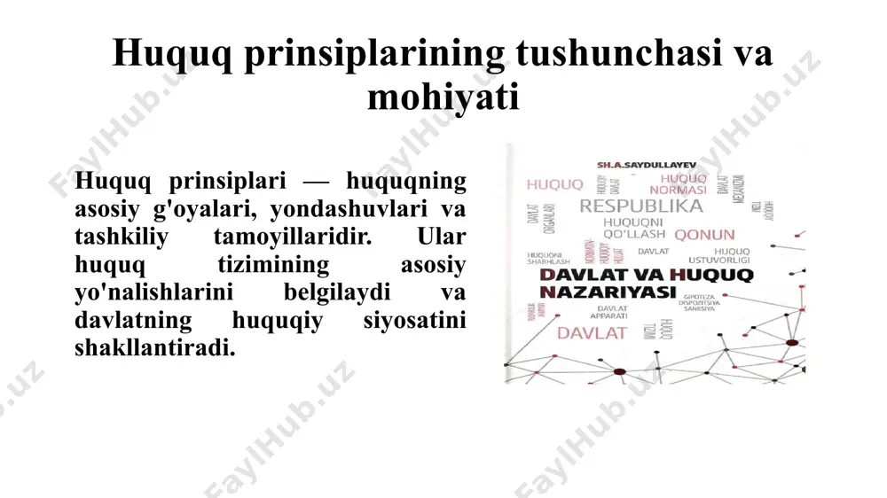 huquq prinsiplarining tushunchasi va mohiyati bilan bogʻliq - Page 3