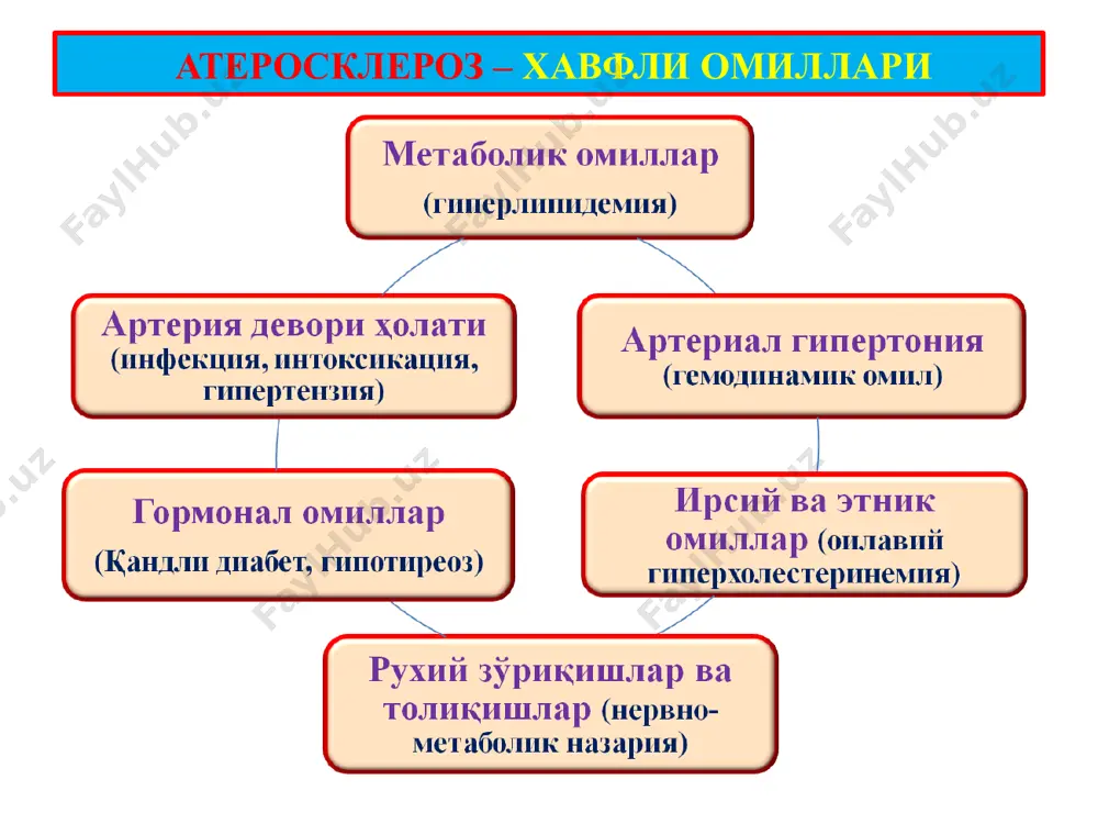 атеросклероз. гипертония касаллиги - Page 3