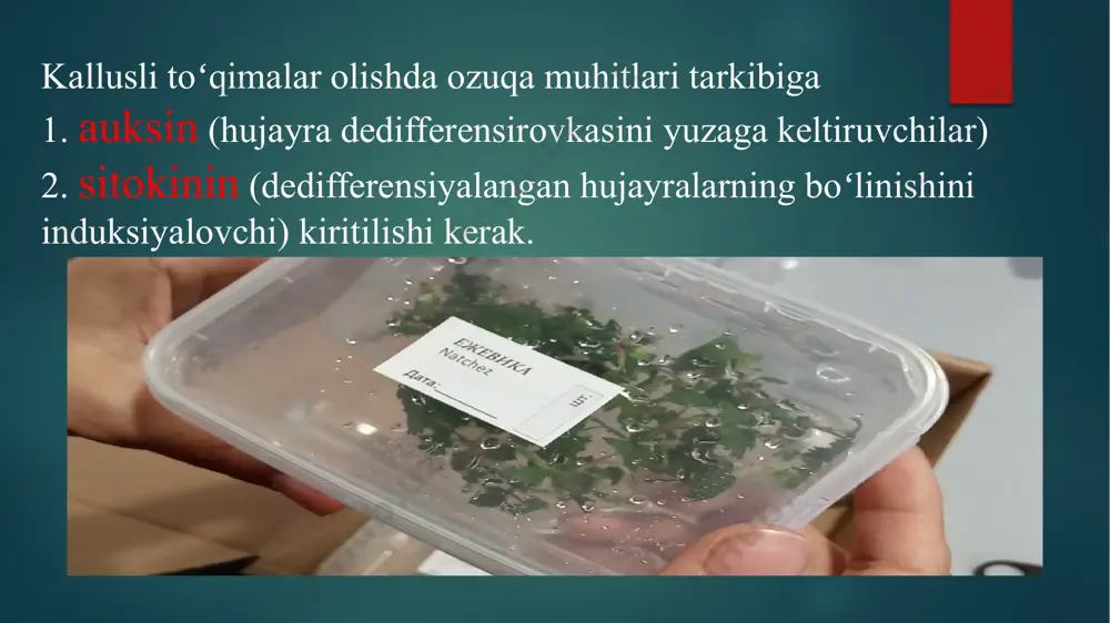 i hosil bo‘lishini talab qiladigan ekinlar uchun juda foydali. gibberellinlardan amaliy foydalanish auksinlar bilan bog‘liq. aslida auksinlar uzunlamasına o‘sishni, gibberellinlar esa lateral o‘sishni ta’minlaydi. hosilning bir tekis rivojlanishi uchun ikkala fitogormonni ham dozalash tavsiya etiladi. shu tarzda, shamolning ta’siri tufayli "turar joy" ga olib kelishi mumkin bo‘lgan zaif va kalta jarohatlarning shakllanishiga yo‘l qo‘yilmaydi. odatda, gibberellinlar kartoshka ildiz mevalari kabi urug‘larning uyqusizlik davrini to‘xtatish uchun ishlatiladi. ular, shuningdek, shaftoli, shaftoli yoki olxo‘ri kabi urug‘larni sozlashni rag‘batlantiradi. sitokininlar – 1955 yilda hujayralar boʻlinishini stimullovchi omil sifatida topilgan. birinchi tabiiy sitokinin zeatin deb atalgan, bu moddalar makkajoʻxorining pishib yetilmagan donlaridan ajratib olingan. hozirgi kunda 12 ta sitokinin aniqlangan boʻlib, ularning kimyoviy tuzilishi zeatinning tuzilishiga yaqin. difenilmochevina va ularning qator mahsulotlarining ham yuqori sitokininlik faolligi aniqlangan. sitokininlar asosan ildiz apikal meristemasida sintezlanib, undan ksilema boʻylab oʻtkazuvchi naylar orqali, oʻsimlikning barcha organlariga transport qilinadi. sitokininlarning kashf etilishi juda yaqinda va uning asosiy tekshiruvlari 1955 …