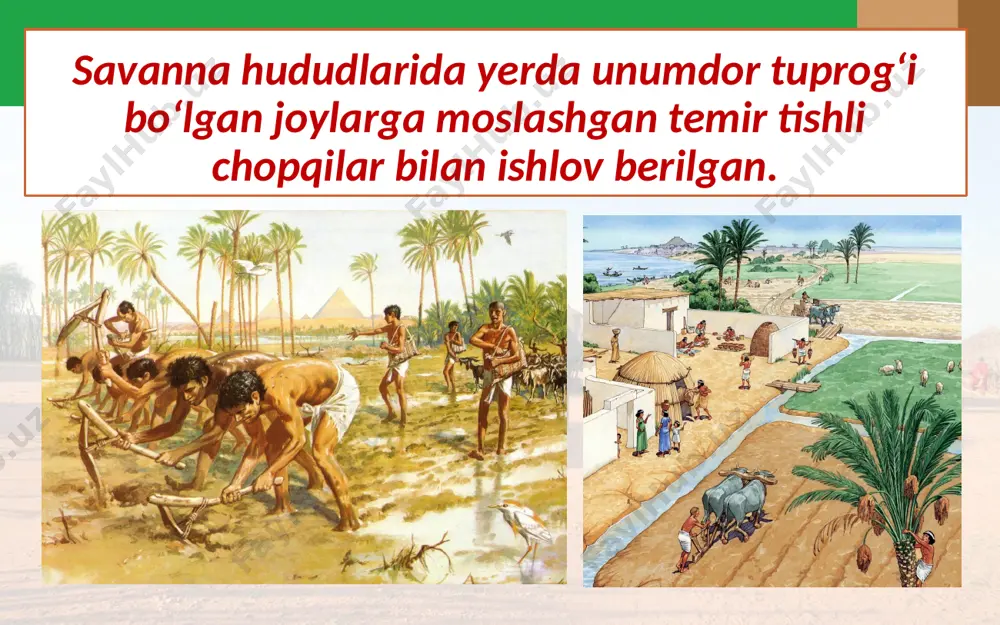 afrika xalqlari o‘rta asrlarda. 7- sinf - Page 4