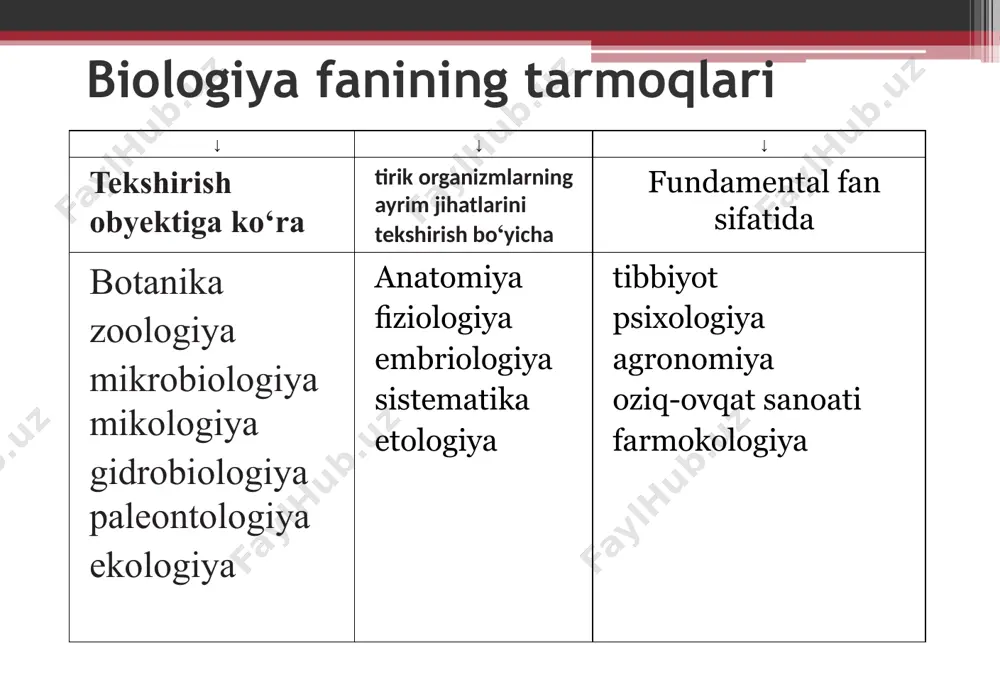 biologiya – hayot haqidagi fan - Page 3