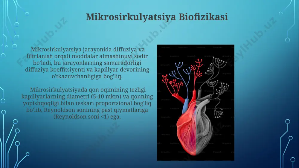yurak-qon tomir tizmining biofizikasi - Page 4