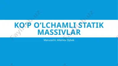 ko‘p o‘lchamli statik massivlar — PPTX