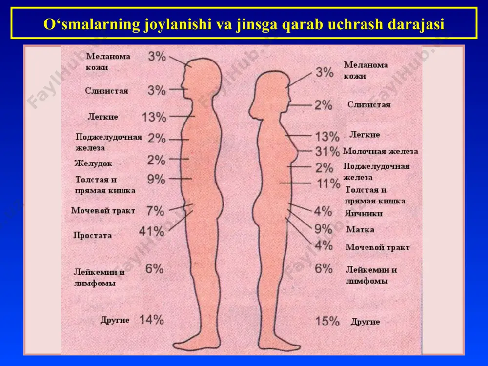 samarkand davlat tibbiyot instituti. patologik anatomiya kursi - Page 4