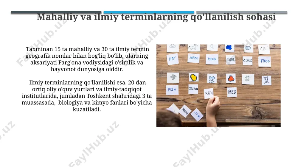 sohaga oid mahalliy va ilmiy terminlarni taqqoslash - Page 5