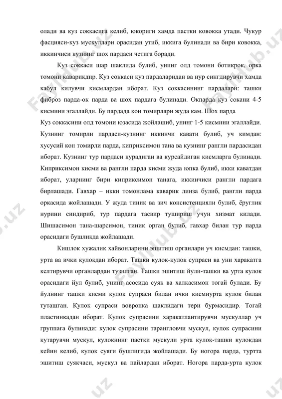 гида жойлашади. бу ногора парда, туртта эшитиш суякчаси, мускул ва пайлардан иборат. ногора парда-урта кулок бушлигининг ён томонида жойлашади. ногора парда товуш таъсирида доим тулкинланиб харакатланади ва товушни ташки кулокдан ички кулокка утказиш учун хизмат килади. болгача-боши, буйни ва дастаси бор. сандон-танаси ва иммита оёкчаси булиб, киска оёкчаси билан пай оркали ногора бушлигига , узун оёкчаси узангига бирлашади. ясмиксимон суяк-кичик суякча булиб, сандон ва узанги суяги уртасидажойлашади. узанги-боши ва иккита оёкчаси бор. бош ясмик суягига, оёкчалари эса дахлиз дарчасига бирлашади. ички кулок-эшитиш органининг энг мухим ва мураккаб кисмидир. бу суяк лабиринт ва парда лабиринтдан иборат булиб, парда лабиринт функцияси жихатдан ички кулокнинг асосий кисмидир. суяк лабиринт билан парда лабиринт морфологик жихатдан бир-бирига ухшаш булади. суяк лабиринт- кулок суягининг кояли кисмида жойлашади. у уч кисмдан иборат булади: дахлизи-марказий уринда туради, чиганок дахлизининг олдинги пастки томонида, ярим доира каналлар эса юкориги орка кисмида жойлашади. дахлиз-шарсимон бушлик, диаметри 5 мм гача булади. ички …
