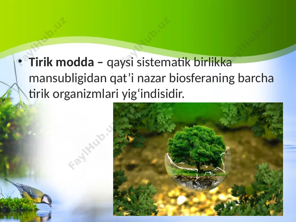 tirik modda yer va koinotni fotosintez jarayoni orqali bog‘laydi. konsentratsiyalash funksiyasi tirik organizmlarning hayotiy jarayonlarida ayrim moddalarni to‘plash xususiyatida namoyon bo‘ladi. bu funksiya tufayli tirik organizmlar tashqi muhitdan biogen elementlarni o‘zlashtiradi va to‘playdi. tirik modda tarkibida vodorod, uglerod, azot, kislorod, natriy, magniy, kremniy, oltingugurt, xlor, kaliy, kalsiy miqdori anorganik tabiatga nisbatan yuqori bo‘ladi. destruktiv funksiyasi nobud bo‘lgan organizmlar tarkibidagi organik birikmalarning parchalanishi va mineral lashuvi, tog‘ jinslarining yemirilishi, hosil bo‘lgan mineral moddalarning biokimyoviy aylanishga – biogen migratsiyaga jalb etilishi kabi jarayonlarda namoyon bo‘ladi. natijada biogen moddalar hamda biogen va abiogen hosil bo‘luvchi moddalar paydo bo‘ladi. muhit yaratish funksiyasi muhit (litosfera, gidrosfera, atmosfera)ning fizik-kimyoviy xususiyatlarini o‘zgartirish orqali tirik organizmlar yashashi uchun qulay sharoit yaratish bilan belgilanadi. ushbu funksiya yuqorida ko‘rib o‘tilgan energetik va destruktiv funksiyalar bilan bog‘liq. gaz almashinish funksiyasi tirik organizmlar tomonidan gazsimon moddalarni o‘zlashtirilishi va ajratilishi orqali atmosferaning gaz tarkibi doimiyligini saqlab turishda aks etadi. kislorod fotosintez jarayonida, karbonat …