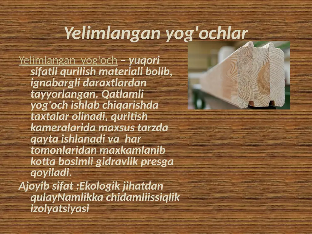 brusli uylar - Page 5