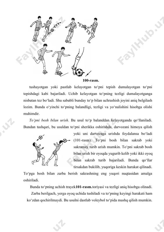 kin. to‘pni sakrab bosh bilan urish bir oyoqda yugurib kelib yoki ikki oyoq bilan sakrab turib bajariladi. bunda qo‘llar tirsakdan bukilib, yuqoriga keskin harakat qilinadi. to‘pga bosh bilan zarba berish sakrashning eng yuqori nuqtasidan amalga oshiriladi. bunda to‘pning uchish trayek101-rasm. toriyasi va tezligi aniq hisobga olinadi. zarba berilgach, yerga oyoq uchida tushiladi va to‘pning keyingi harakati ham ko‘zdan qochirilmaydi. bu usulni dastlab voleybol to‘pida mashq qilish mumkin. to‘pni to‘xtatish. to‘pni dumalayotganda yoki uchib kelayotganda to‘xtatish uning harakat yo‘nalishini o‘zgartirish uchun zarur. muhimi, to‘pni to‘xtatishda u oyoqdan sakrab ketmasin (102- rasm). oyoq yuzining ichki tomoni bilan to‘pni to‘xtatish. bu usul dumalab yoki uchib kelayotgan to‘pga nisbatan qo‘llaniladi. bunda gavda og‘irligi tayanch oyoqda bo‘ladi. to‘xtatadigan oyoq oldinga cho‘ziladi, so‘ngra u tayanch oyoq qadar orqaga tortiladi. to‘p tezligi susayadi va to‘xtaydi. dumalayotgan to‘pni oyoq osti bilan to‘xtatish. qabul qilayotgan oyoq tizzadan bukilib to‘pni qabul qilib oladi. oyoq kafti, tovon 5 — 10 sm …