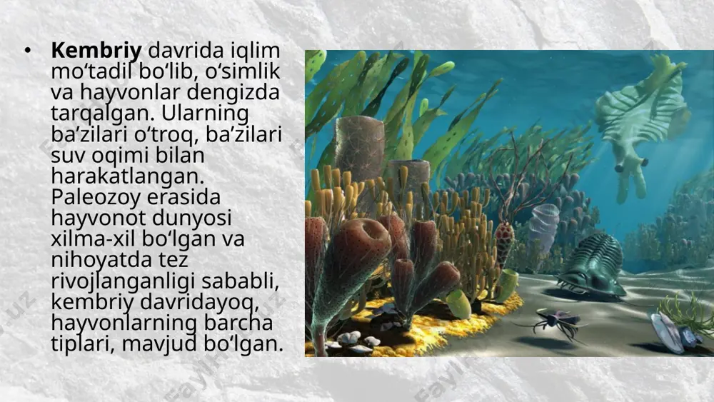 paleozoy erasidagi hayot. 10 - sinf - Page 3