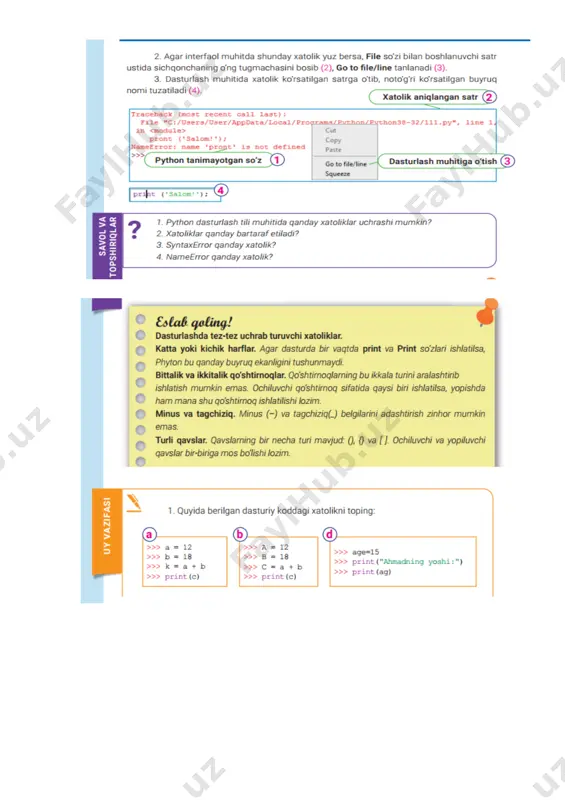 pythonda xatoliklar bilan ishlash - Page 2