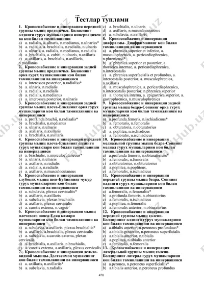 главные артерии и нервы передней группы мышц предплечья — DOCX