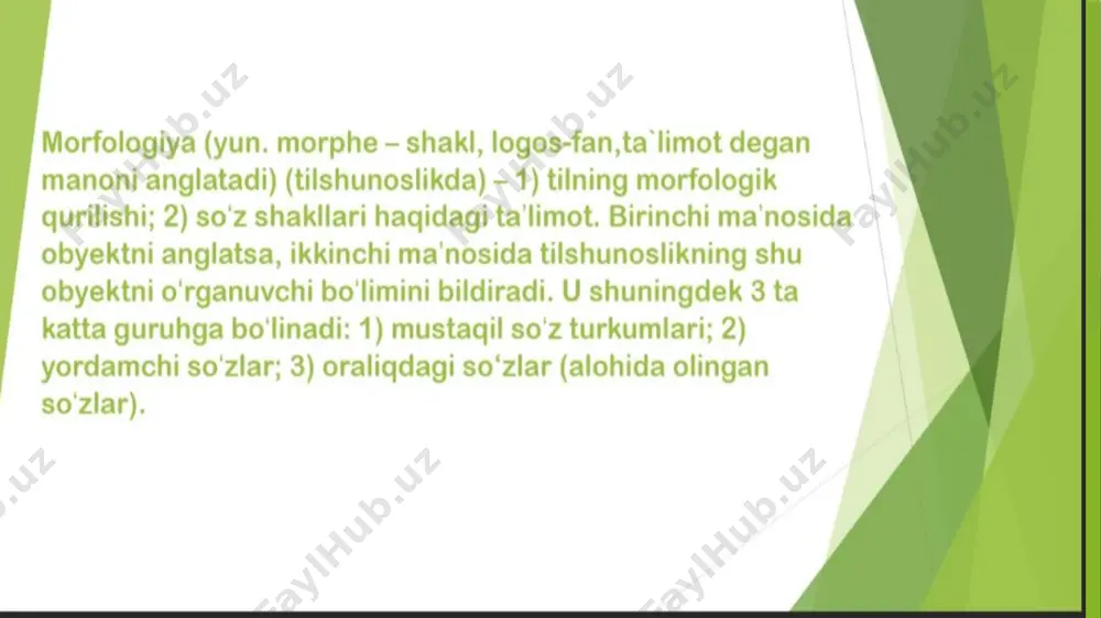 morfologik tahlil ppt - Page 3