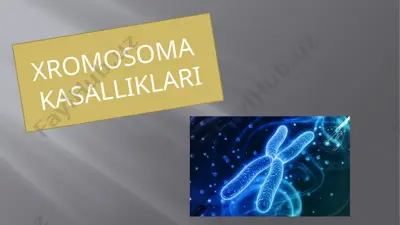 xromosoma kasalliklari — PPTX