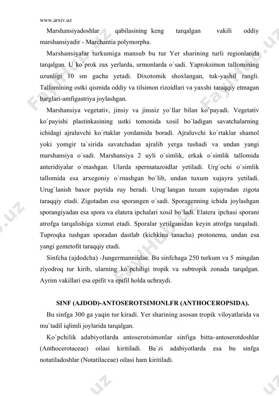 otdoshlar (anthocerotaceae) oilasi kiritiladi. ba`zi adabiyotlarda esa bu sinfga notatiladoshlar (notatilaceae) oilasi ham kiritiladi. birinchi oilaning antoseros turkumi tabiatda ancha keng tarqalgan bo`lib, u 200 ga yaqin turga ega. antoserotsimonlarning tanasi yassi yoki tasmasimon, balandligi (buyi) 2-3 sm, diametri 1-3 sm, ayrim turlarida sporagenning uzunligi 13 sm gacha yetadi. tanasi bir necha qavat yupqa xujayralardan tashqil topgan. tallomning ostki tomonida rizoidlari joylashgan. antoserotlarning ko`payish vegetativ, jinsiy va jinssiz yo`llar bilan boradi. vegetativ ko`payuvchi ko`p yillik vakillari tallomining ostki tomonida tugunakchalar xosil bo`lib, ular yordamida ko`payadi. ularda jinsiy ko`payish organlari (anteridiy, arxegoniylar) endogen joylashgan. anterediylar bittadan yoki guruh bo`lib joylashgan. yetilgan anteridiyning ustki qismi yorilib ochiladi, natijada spermatozoidlar tashqariga chiqib tarqaladi. arxegeniylar gametofitning yon tomonlarida joylashadi. uning tuxum xujayrasi urug`langandan so`ng dastlab zigota undan esa murtak xosil bo`ladi. murtakdan sporofit taraqqiy etadi. sporofit ularda yaxshi taraqqiy etgan. sporofit uzunchoq ko`sakchadan iborat. sporalar yetilgandan keyin elatera orqali ko`sakcha ichidan tashqariga sochiladi. sporalardan …