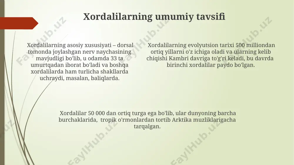 ydi, ularning koʻpchiligi suv oʻtlarida yashaydi va plankton bilan oziqlanadi. lichinkali xordalilarning turlari lichinkali xordalilarning rivojlanish sikli murakkab boʻlib, metamorfoz jarayoni orqali 3 ta asosiy bosqichdan – lichinka, oʻtish davri va kattalar shakli – oʻtadi. lichinkali xordalilarning 3000 dan ortiq turi mavjud boʻlib, ularning aksariyati dengizlarda, jumladan, qizil dengiz va atlantika okeanining tropik hududlarida tarqalgan. ba'zi lichinkali xordalilar, masalan, asidiyalar, 2 sm dan oshmaydigan oʻlchamlarga ega boʻlsa, boshqalari, ayniqsa, salp lar, 10 sm gacha oʻsishi mumkin. umurtqali xordalilar umurtqasiz xordalilarning evolyutsion taraqqiyoti boʻyicha oʻtkazilgan tadqiqotlar, 500 million yildan ortiq vaqt oldin kambriy davrida yashagan organizmlar qoldiqlari topilgan shimoliy amerika va avstraliya qit’alarida amalga oshirilgan. ba’zi umurtqasiz xordalilarning lichinkalari, masalan, asidiyalarning lichinkalari, 2-3 hafta davomida planktonik hayot tarzini olib borib, 10 mm gacha oʻsadi va keyinchalik dengiz tubiga choʻkadi. umurtqasiz xordalilarning 30 dan ortiq turi oʻzbekistonning janubiy hududlaridagi suv havzalarida, xususan, amudaryo va sirdaryo havzalarida uchraydi va ularning koʻpchiligi suv oʻsimliklari …
