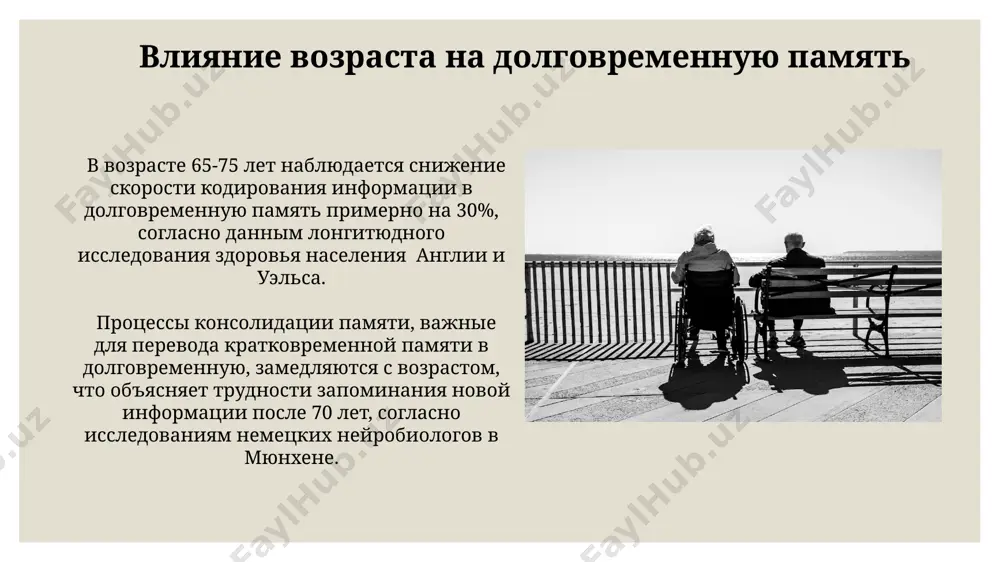 возрастные особенности анализаторов - Page 5