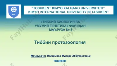 тиббий протозоология — PPTX